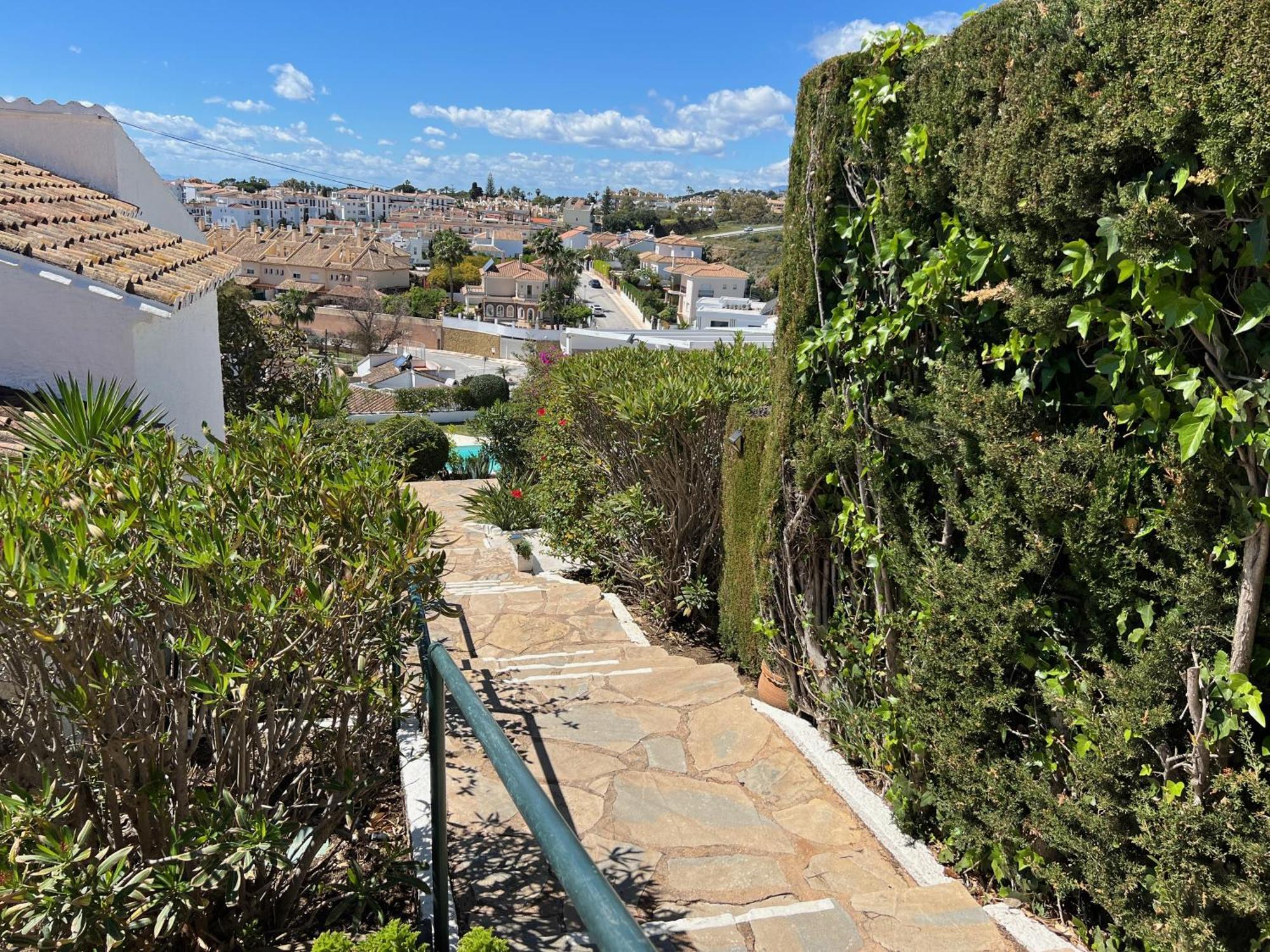 Casita Agave