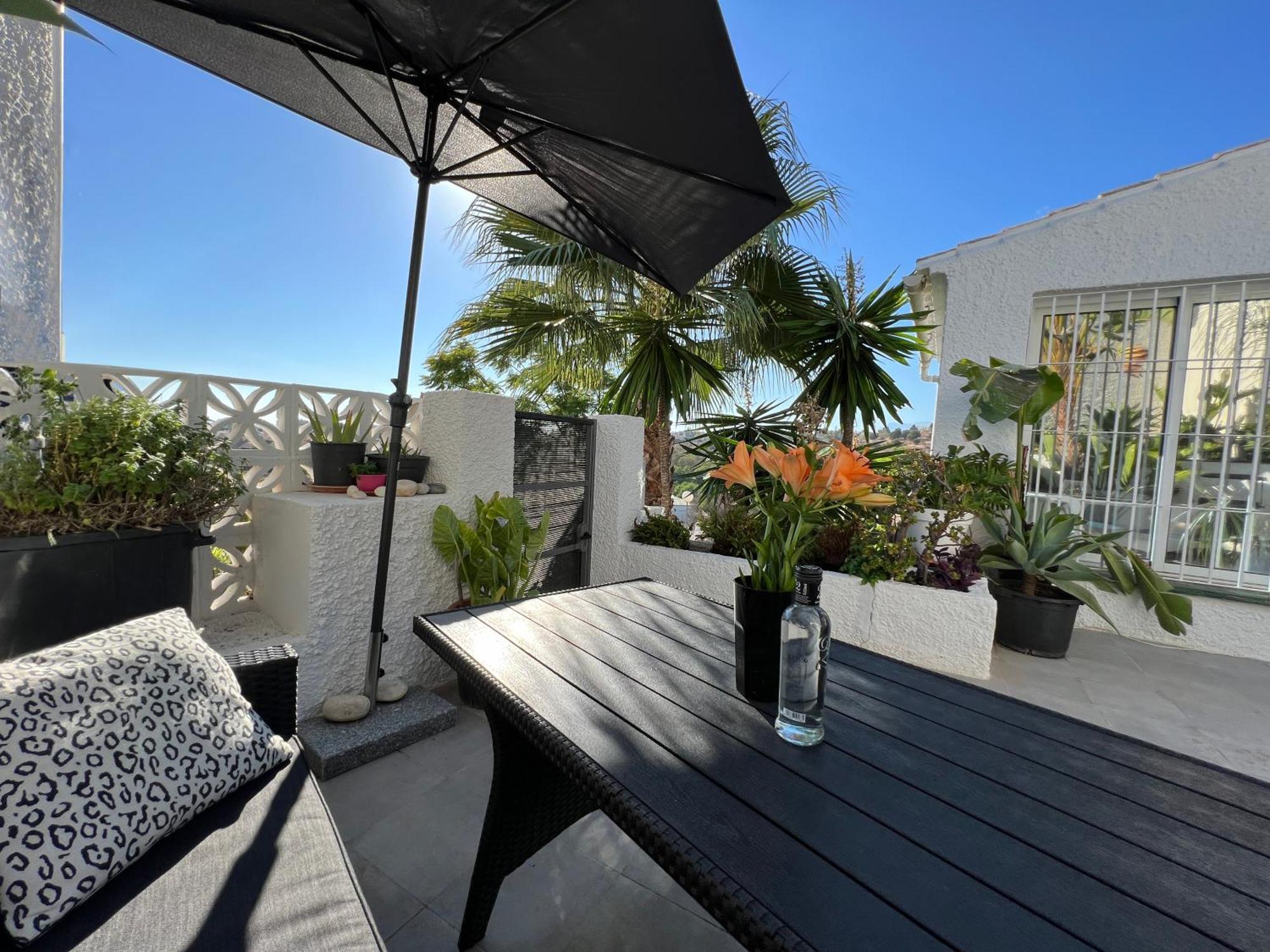 Casita Agave *